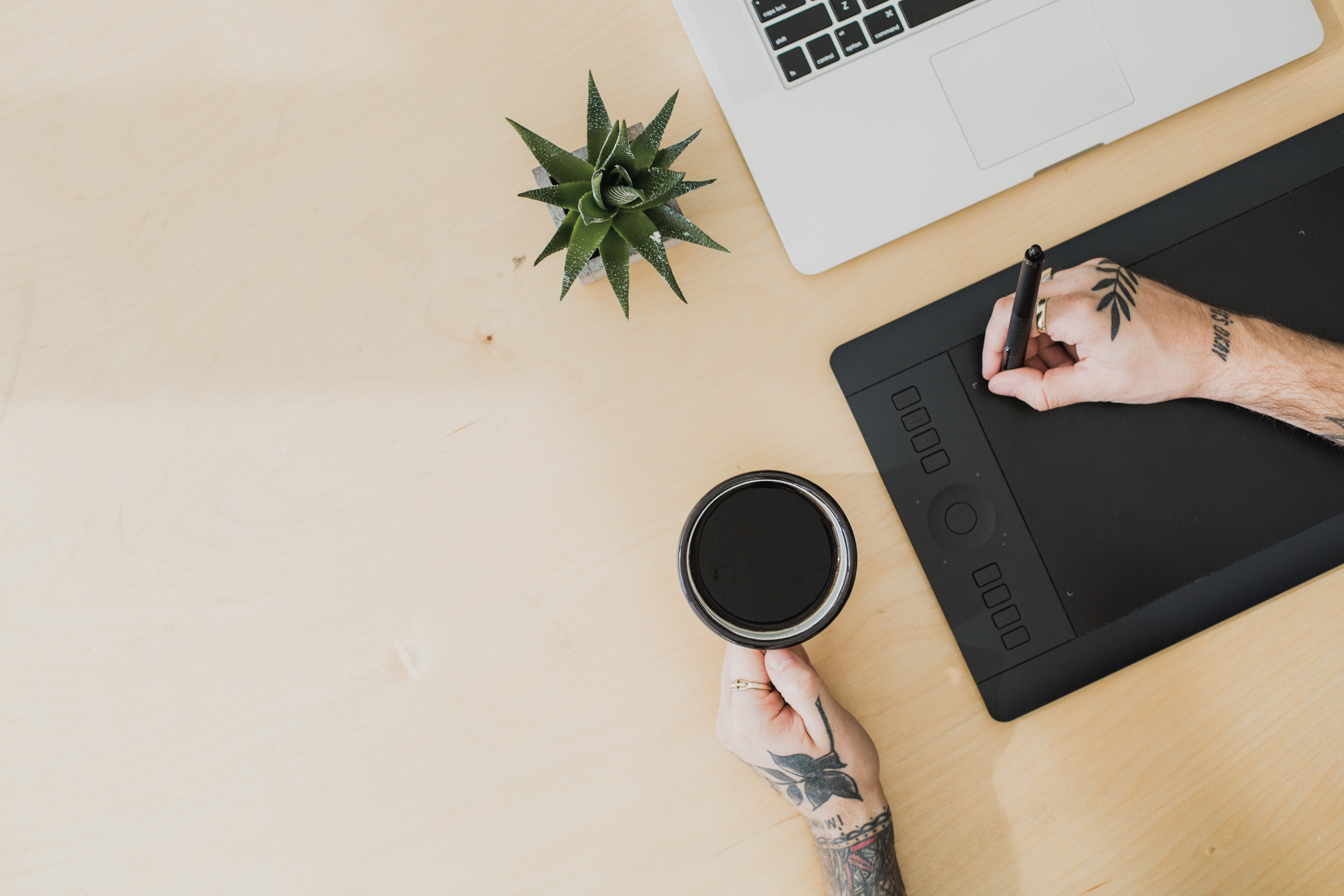web designer